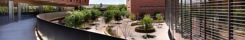 ASU Carey to Launch New Master of Science in Management (MiM) Program