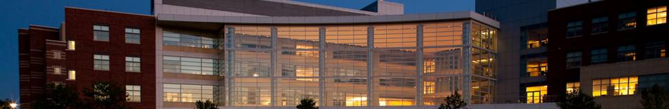 Penn State Smeal Launches MBA Concentration in Sustainability