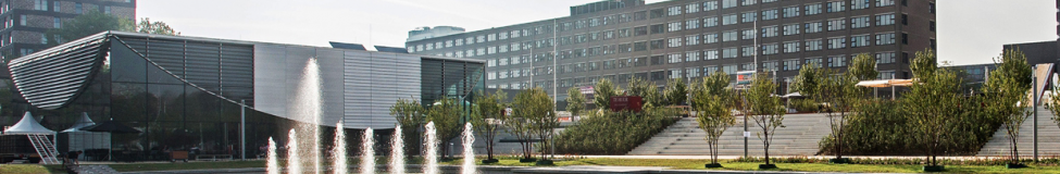 RSM and the University of Cologne Launch Joint Executive MBA Program