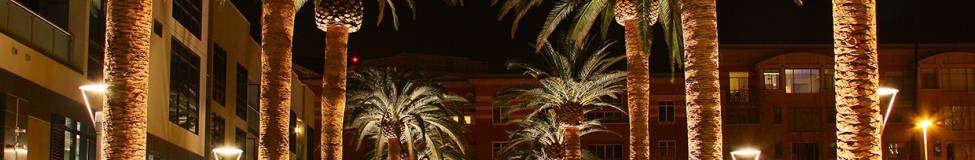 Tapping Into California’s Tech Hub: More Business Schools Putting Down Roots in Silicon Valley