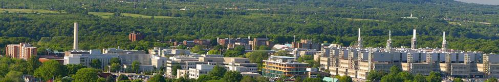 DeGroote to Launch an Executive MBA in Digital Transformation