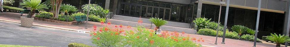 University of Houston - Clear Lake to Offer an MBA/MD Program