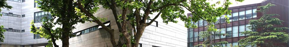 AACSB Accreditation Awarded to Nine Business Schools