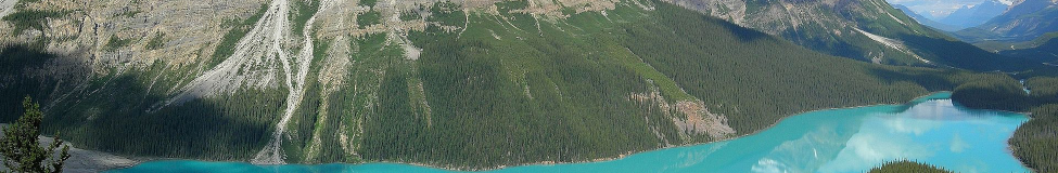 Working in Canada After an MBA