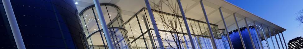 Yale Launches New MBA Scholarship for Students From Africa