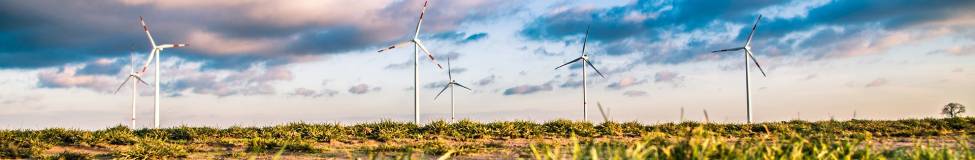 Application Deadline for Stanford Course in Environmental Sustainability