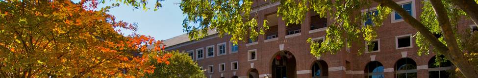 UNC Announces STEM-Designated MBA Concentration in Business Analytics