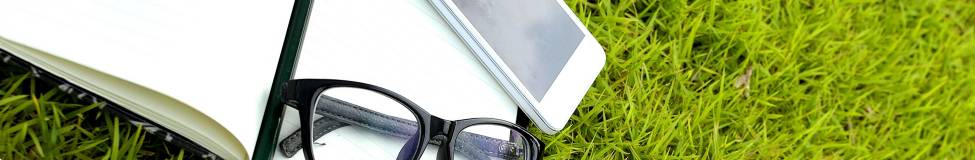 Green is Good: MBA Programs are Teaching Sustainability and Responsible Business