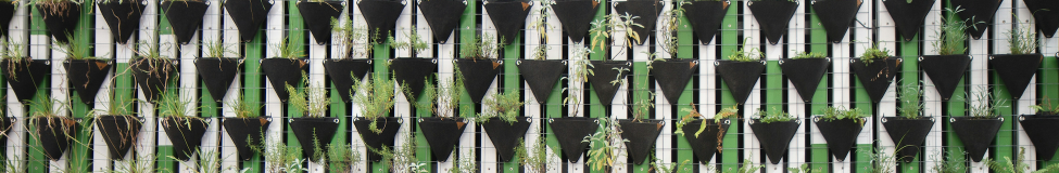 The Rise of Joint-Degree Programs in MBA and Sustainability
