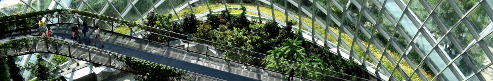 Shaping Responsible Leaders: MBA Programs Embrace Sustainability