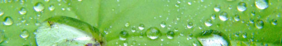 Top Business Schools for Sustainability / CSR / Social Entrepreneurship 2024