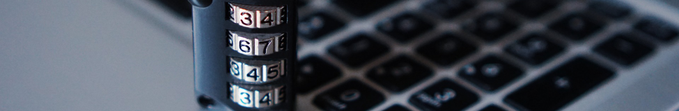  Top 10 MBA Programs for Cybersecurity 