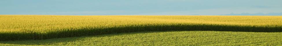  Top 10 MBA Programs in the Midwest 