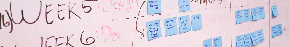 Top 10 MBA Programs for Project Management 2022