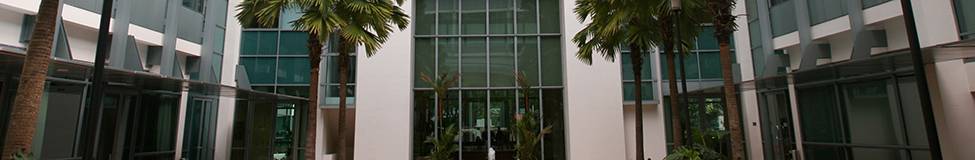 INSEAD - Singapore