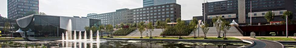 RSM Rotterdam