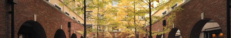 Doshisha