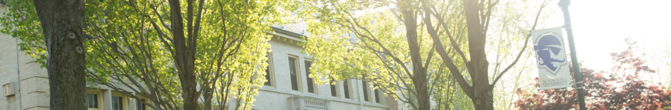 Seton Hall - Online MBA