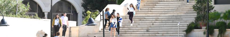LAU - Online MBA