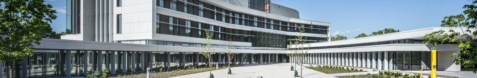 York - Schulich