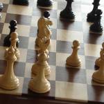 Top Business Schools for Strategy or Business Development