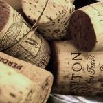 Top MBA Programs for Wine Business Management