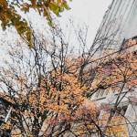  Top 10 MBA Programs in Europe (Mainland)
