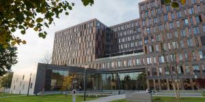 Frankfurt School