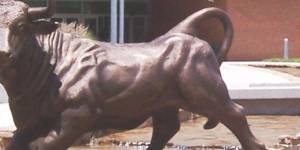 South Florida USF