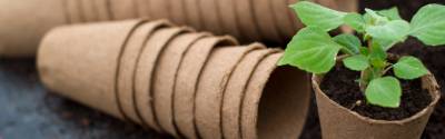 More MBA Programs Focusing on Socially Responsible Business