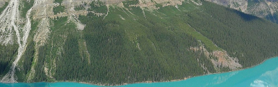 Working in Canada After an MBA