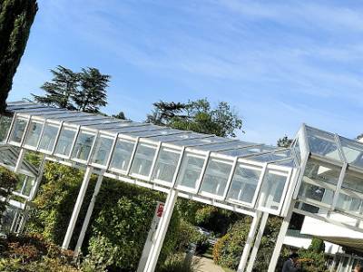 Grenoble Graduate School of Business and EMLyon Form Strategic Alliance