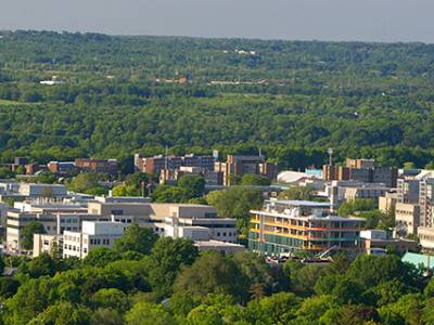 DeGroote to Launch an Executive MBA in Digital Transformation