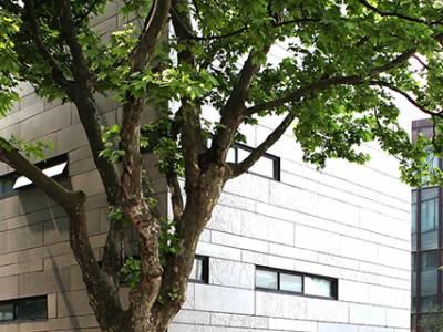 AACSB Accreditation Awarded to Nine Business Schools