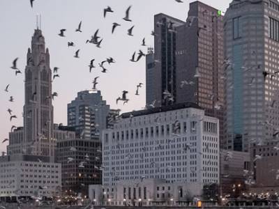 Ohio State University to Offer Weekend MBA With Free Transportation from Cleveland, Cincinnati and Dayton