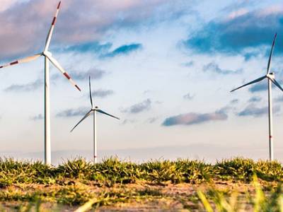 Application Deadline for Stanford Course in Environmental Sustainability