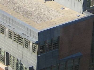 U of T to Offer Free EMBA Admissions Consultations