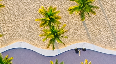 Sun, Sea and Strategy: MBA Programs in Florida