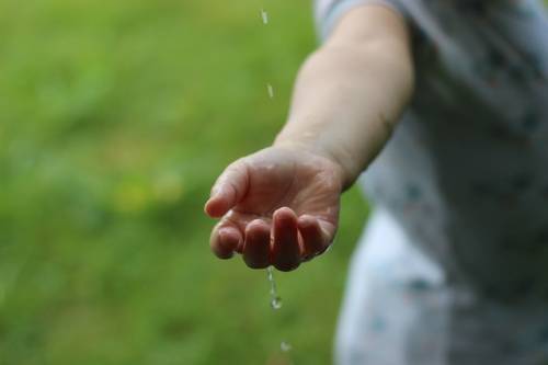Sustainability  / CSR / Social Entrepreneurship